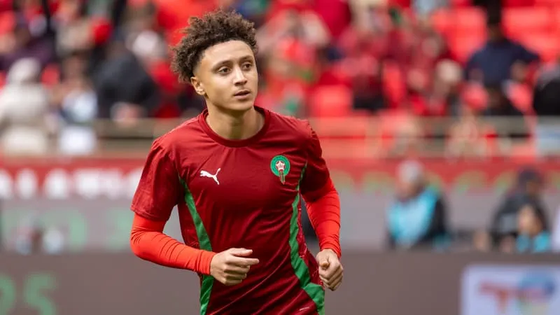 开云体育下载-点赞塞内加尔球员庆祝非洲杯夺冠，多名摩洛哥国脚公开道歉